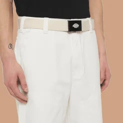 CINTURA DA UOMO DICKIES ORCUTT WHITECAP GRAY DK0A4X7E F90