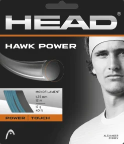 CORDA DA TENNIS HEAD HAWK POWER SET