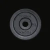 DISCO GHISA GOMMATO TOORX FORO Ø mm.25 KG. 15