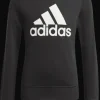 FELPA JUNIOR ADIDAS BL SWT GP0040