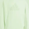 FELPA JUNIOR ADIDAS U FI LOGO IS4414
