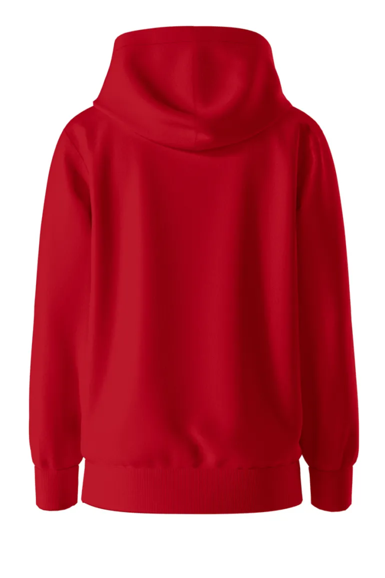FELPA JUNIOR NAPAPIJRI BALIS H RED GOJI NP0A4GMR R06