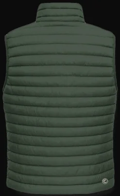 GILET DA UOMO COLMAR BOTANICAL-ICE 1278R 382