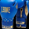 GUANTI DA BOXE DNA GN220 02