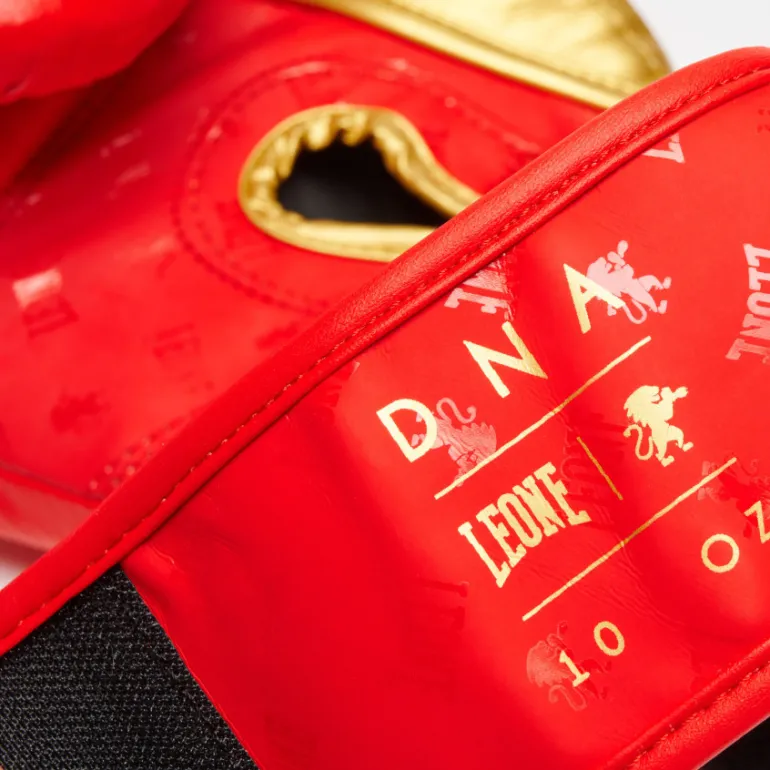 GUANTI DA BOXE DNA GN220 03