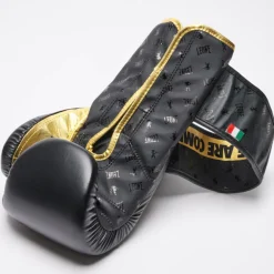 GUANTI DA BOXE DNA GN220 01
