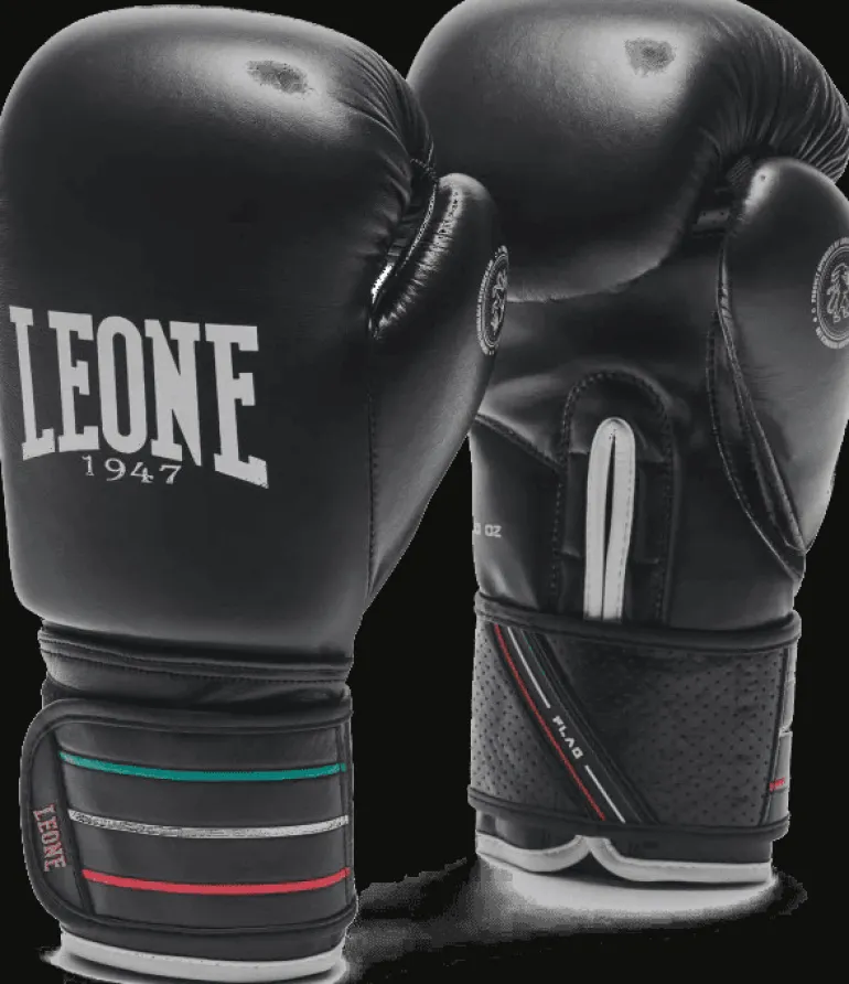 GUANTI DA BOXE FLAG GN212 01