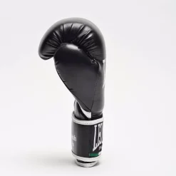 GUANTI DA BOXE FLASH JUNIOR GN083J 01
