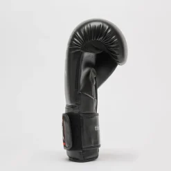 GUANTI DA BOXE THUNDER GN383 01