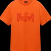 T-SHIRT A MANICA CORTA DA UOMO NAPAPIJRI S-VANNI PRT SS NP0A4IEA A00