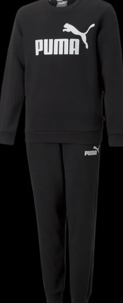 TUTA JUNIOR PUMA LOGO SWEAT SUIT 670884 27
