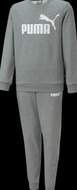 TUTA JUNIOR PUMA LOGO SWEAT SUIT 670884 27